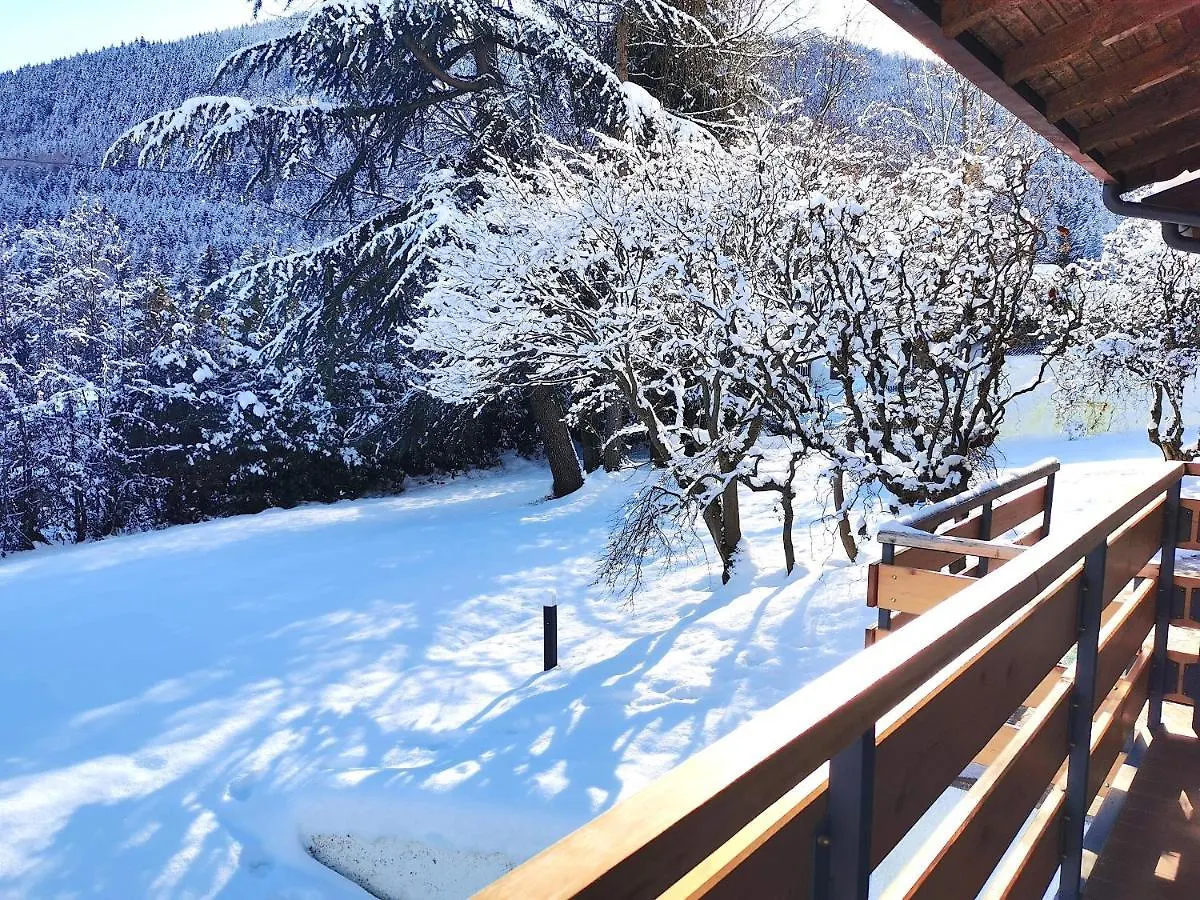 Villa Chalet Bornhome Relax, Sport E Cultura Altopiano Del Sole 6 Ospiti - Pet Frendly Borno